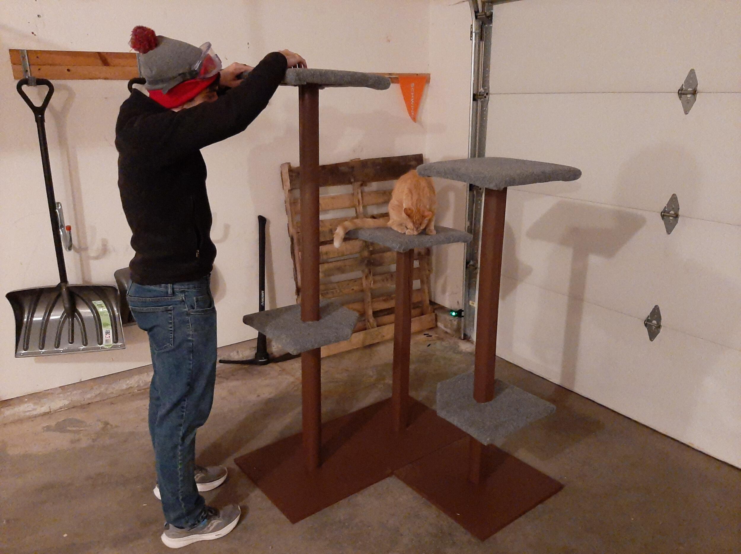 Made a cat tree