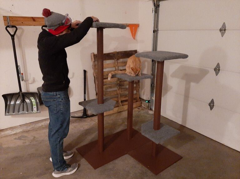 Made a cat tree