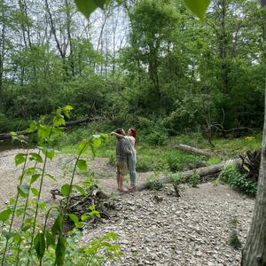 Gallery Photo 25