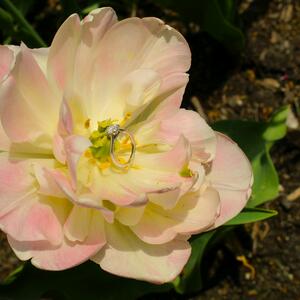 Gallery Photo 21