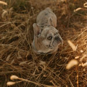 Gallery Photo 31
