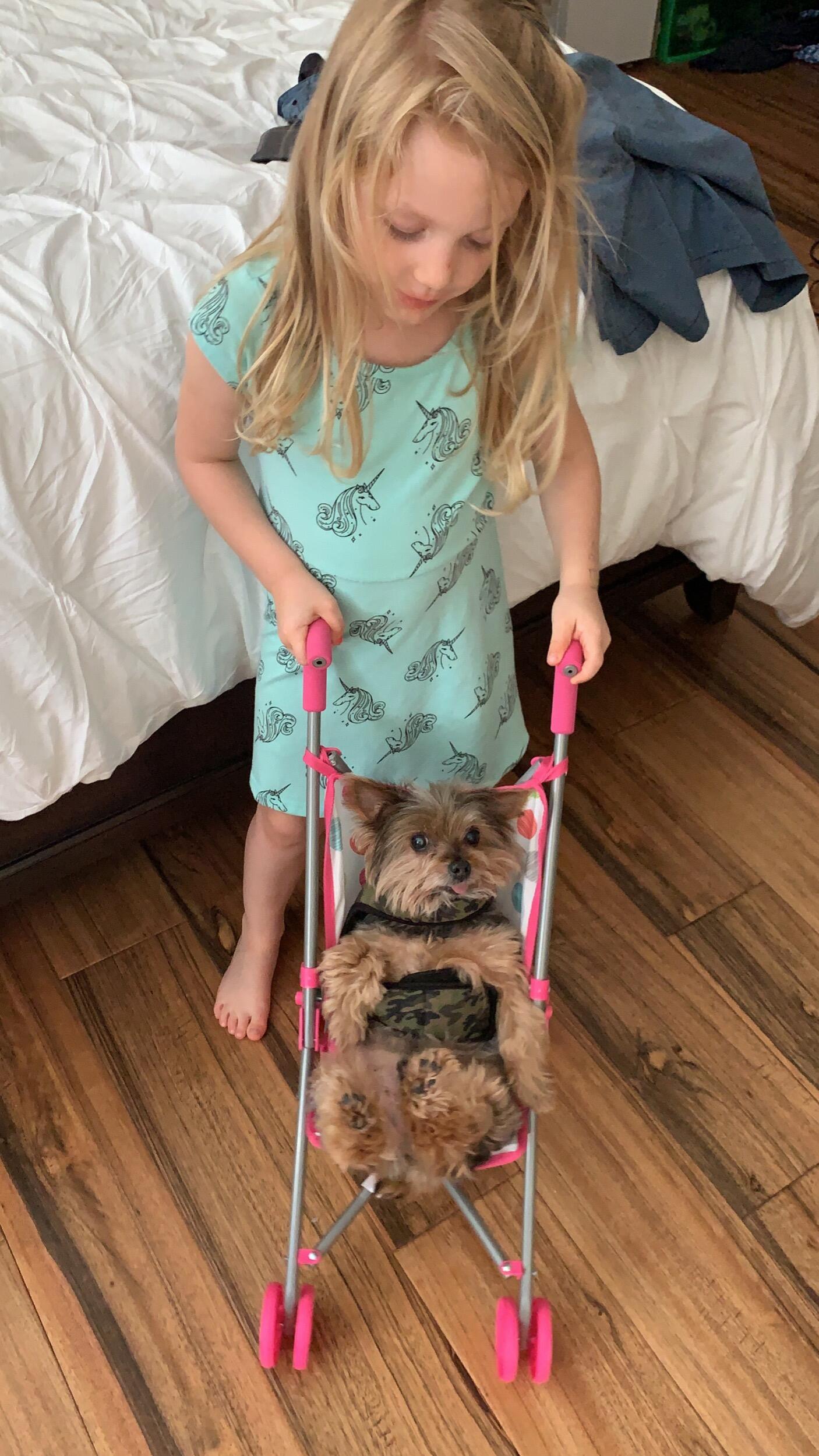 Tucker puts up with just about anything from her. He loves her so much! 🐶🐾