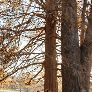 Gallery Photo 366