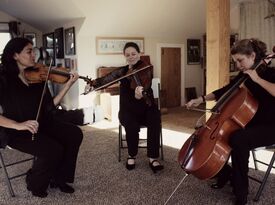 The Bloom Trio - String Quartet - Harrisonburg, VA - Hero Gallery 1