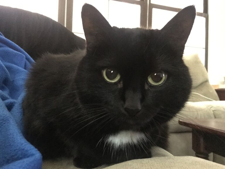 Meet Mojo! 