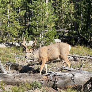 Gallery Photo 26
