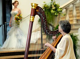 De Luna - Harpist - Hooksett, NH - Hero Gallery 3