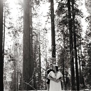 Gallery Photo 132