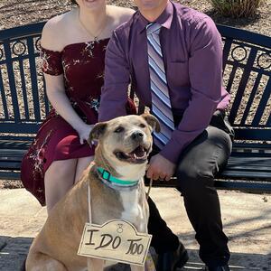 Gallery Photo 29