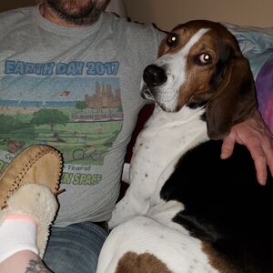 Gallery Photo 35