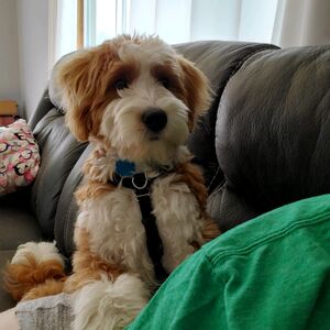 Gallery Photo 21