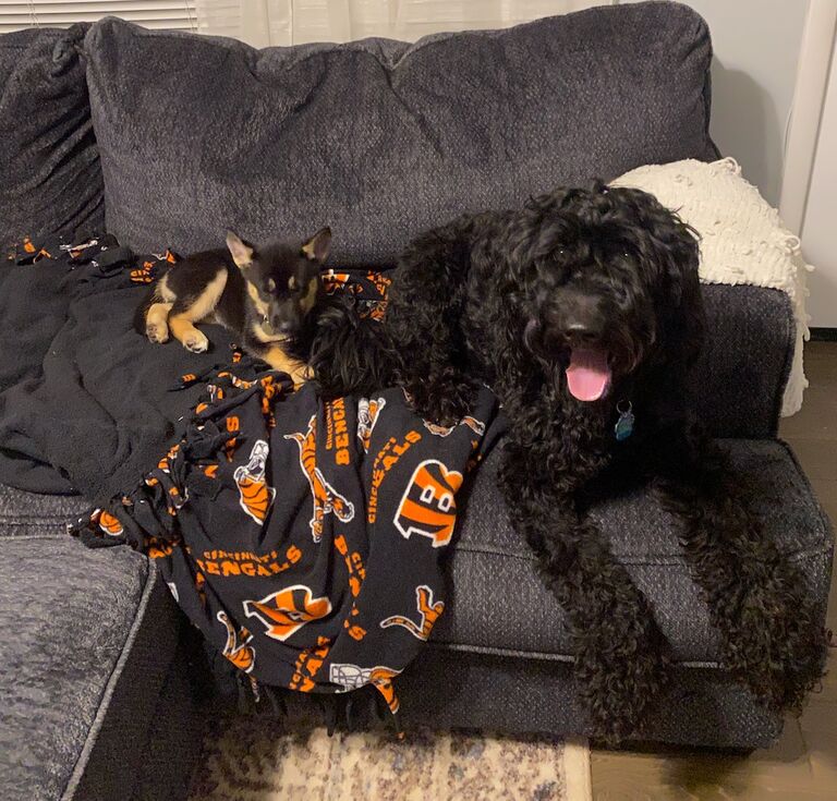 Brought home Benny's bestie!