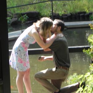 Gallery Photo 32