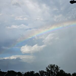 Gallery Photo 123