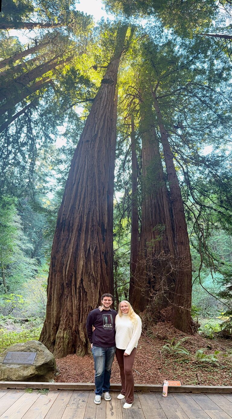 We made it to the redwood forest.