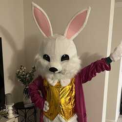 LOL Costume Easter Bunny, Paw Patrol, Bluey & more, profile image
