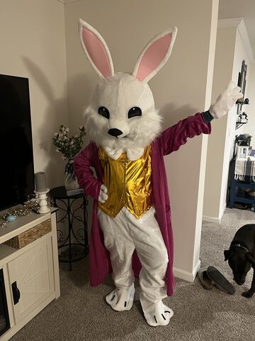 LOL Costume Easter Bunny, Paw Patrol, Bluey & more - Costumed Character - Gardner, MA - Hero Main
