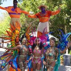 Showgirls and Caribbean Entertainment, profile image