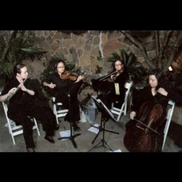 Serenata Strings - String Quartet - Flower Mound, TX - Hero Main