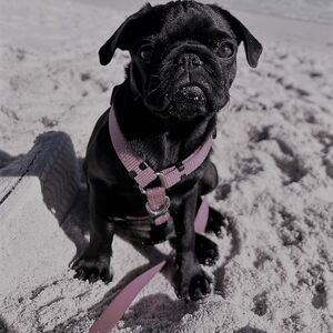 Gallery Photo 64