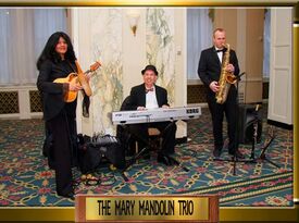 MARY MANDOLIN - Acoustic Guitarist - New York City, NY - Hero Gallery 4