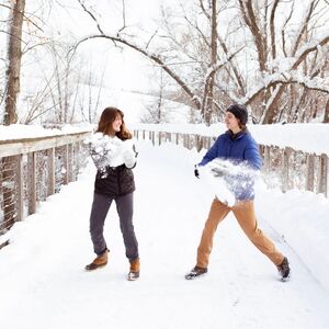 Gallery Photo 45