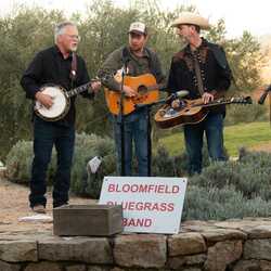 Bloomfield Bluegrass Band, profile image