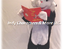 Indy Characters & More LLC. - Costumed Character - Indianapolis, IN - Hero Gallery 1