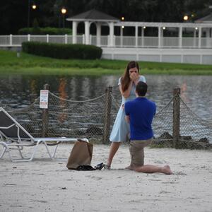 Gallery Photo 4