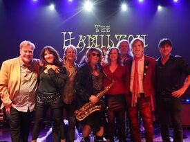 David Bowie Tribute-Totally Bowie - Rock Band - Silver Spring, MD - Hero Gallery 2