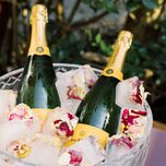 Champagne bottles in ice bucket at bridal shower