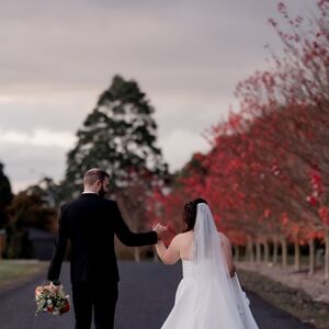 Gallery Photo 209