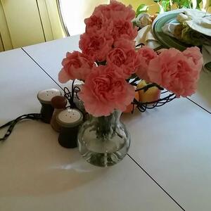 Gallery Photo 20