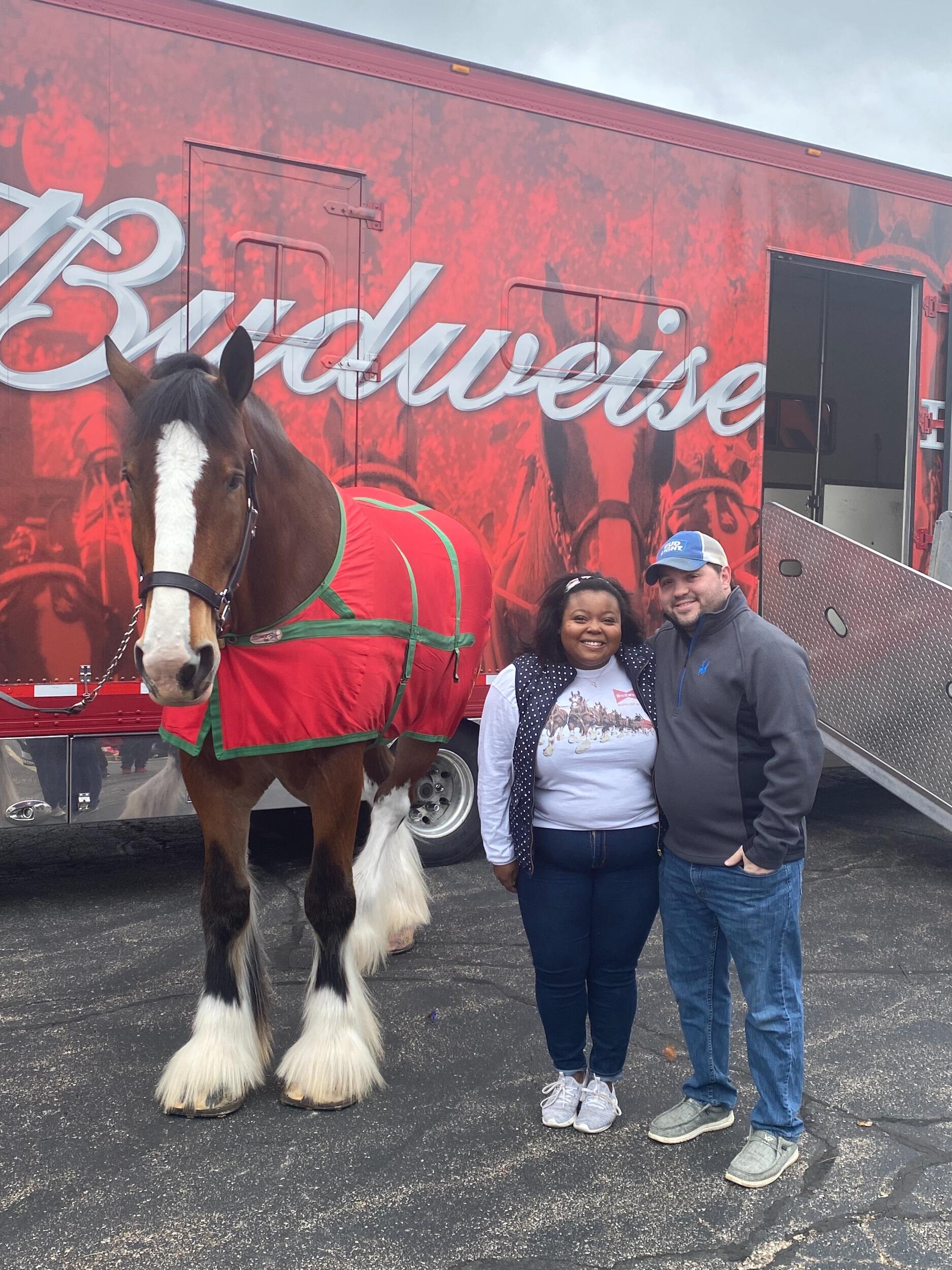 Our picture with the Budweiser Clydesdale