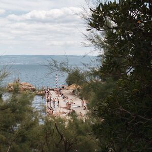 Gallery Photo 173
