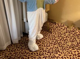 New England Acts - Costumed Character - Bedford, NH - Hero Gallery 1