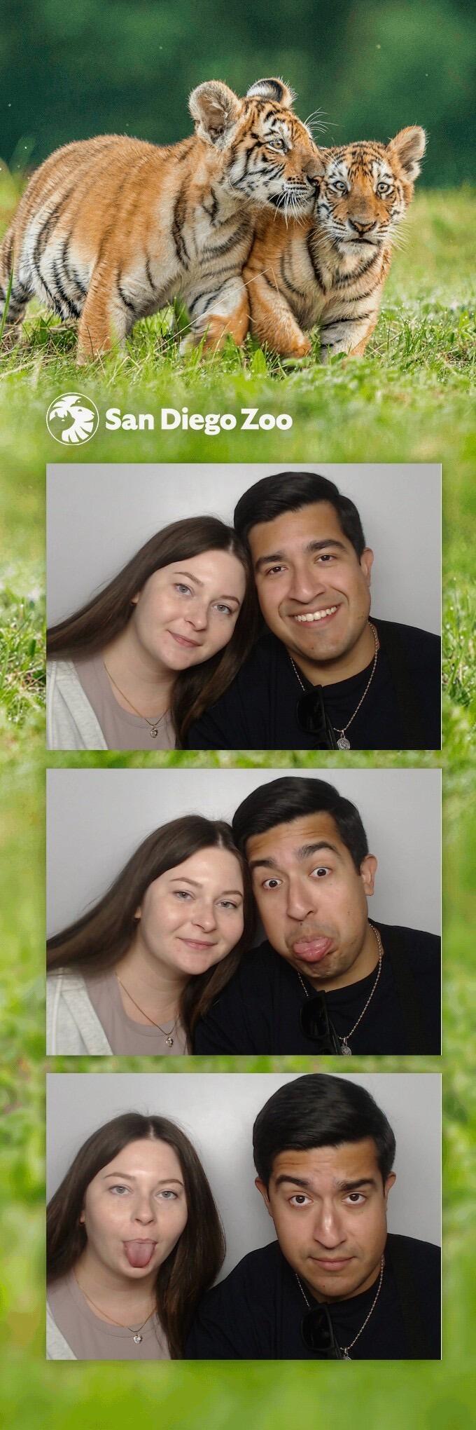 San Diego - Zoo