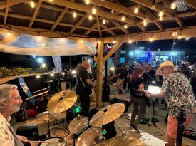 The Lime Squeezers - Classic Rock Band - Colorado Springs, CO - Hero Gallery 2