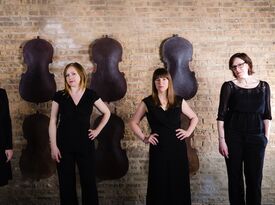 Quartet Parapluie - String Quartet - Chicago, IL - Hero Gallery 2