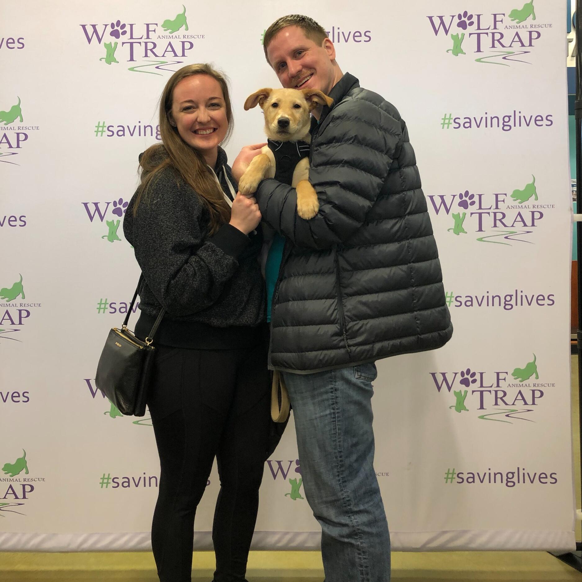 Joe and Gabrielle adopted the bestest boy in the whole wide world: Mogli Macaroni