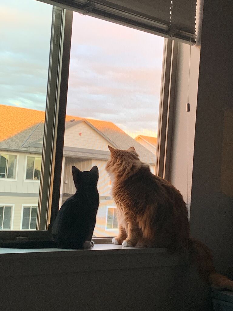 Moved in together! 