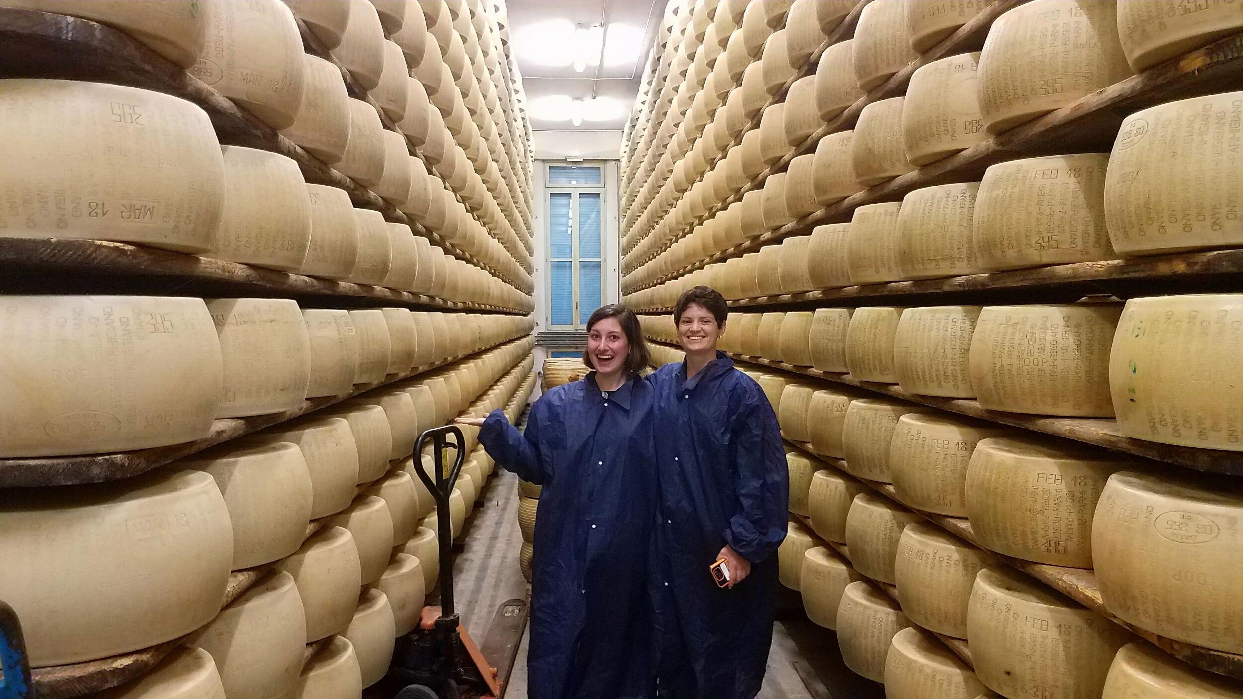 Aging parmesan in Reggio Emilia