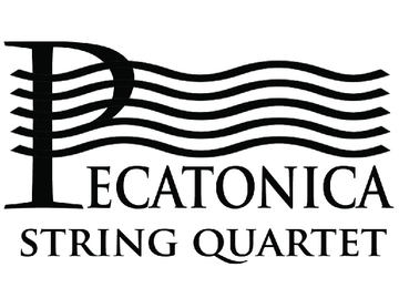 Pecatonica String Quartet - String Quartet - Madison, WI - Hero Main
