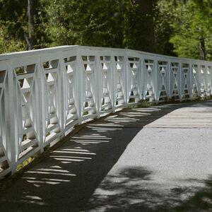 Gallery Photo 51