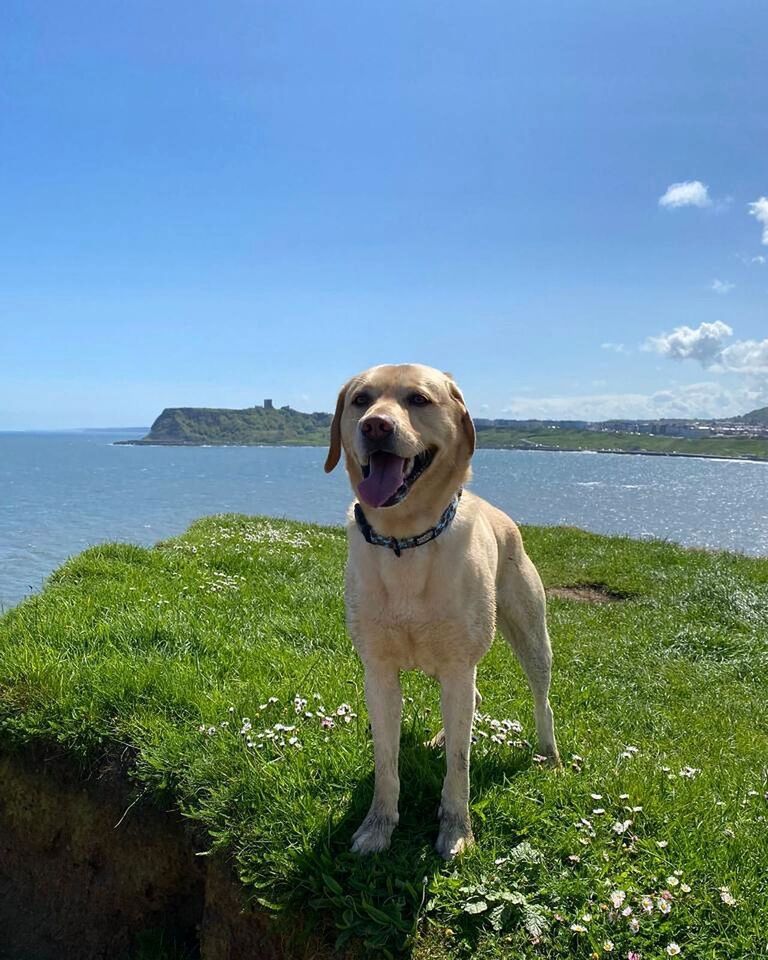Yes Dexter will be there because he is just the bestest boy ever!