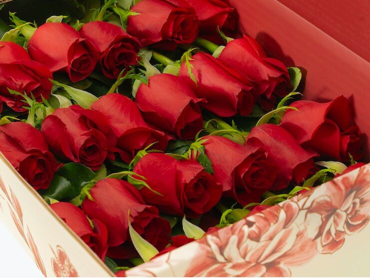 two dozen red roses for valentine's day