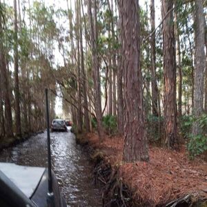Gallery Photo 54