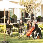 String quartet ready to play in an outdoor venue