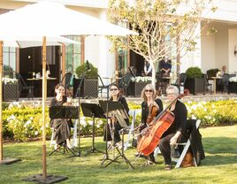 String quartet ready to play in an outdoor venue