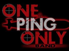 One Ping Only Band - Cover Band - Fontana, WI - Hero Gallery 1